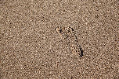 探索外星世界 科幻生存沙盒游戏《蜂巢》预告片公布